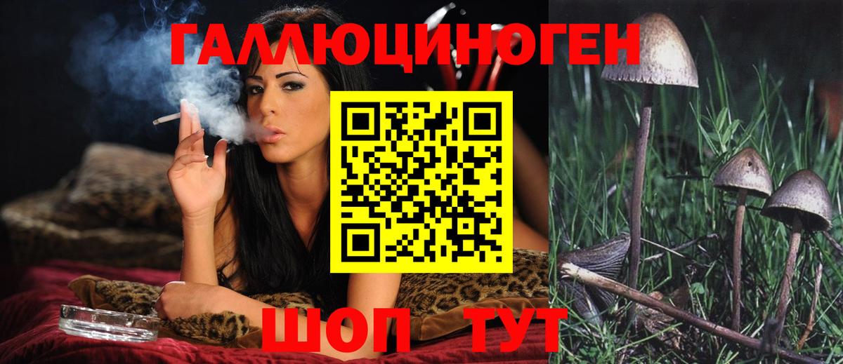 Егорьевск  как найти закладки  Вход с VPN  Псилоцибиновые грибы Cubensis 